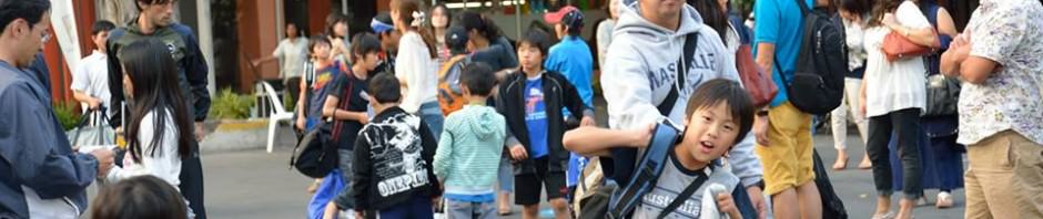 1221-22 Lop-Buri Camp, Sunflower