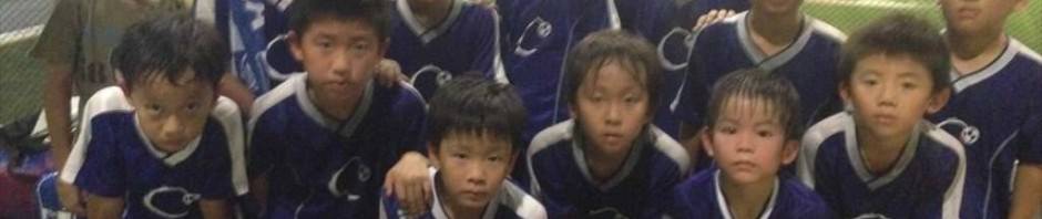 競争を促す強化クラスへリニューアル